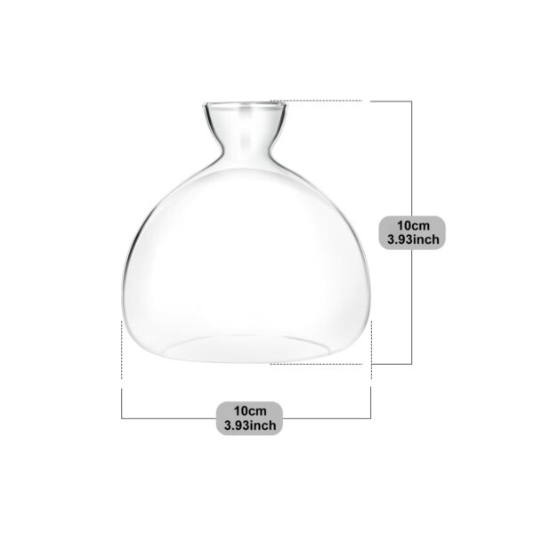 Acorn Sprouting Seed Starter Planter Vase Terrariums Pot Acorn Tree Growing Kit Deco Glass Bulb Propagation Vases Grow Acorn Trees at Home Acorn Tree Growing Kit Unusual Gardening Gifts for Her Him