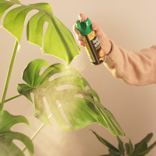 Baby Bio 84899143 Leaf Shine, 200ml - Ready To Use Houseplant Care - Aerosol Spray for a Natural Long Lasting and Healthy Shine - Removes Dust from Plant Leaves - Prevents Yellowing
