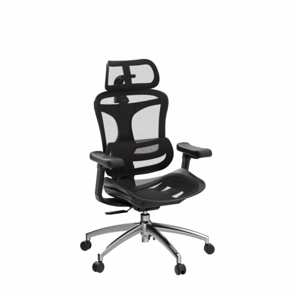 Sihoo Doro C300 Ergonomic Office Chair with Ultra Soft 3D Armrests, Dynamic Lumbar Support for Home Office, Adjustable Backrest Desk Chair (Black)