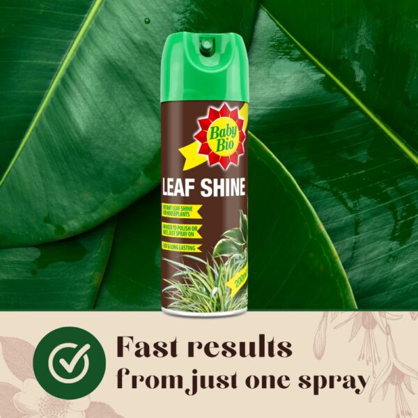 Baby Bio 84899143 Leaf Shine, 200ml - Ready To Use Houseplant Care - Aerosol Spray for a Natural Long Lasting and Healthy Shine - Removes Dust from Plant Leaves - Prevents Yellowing