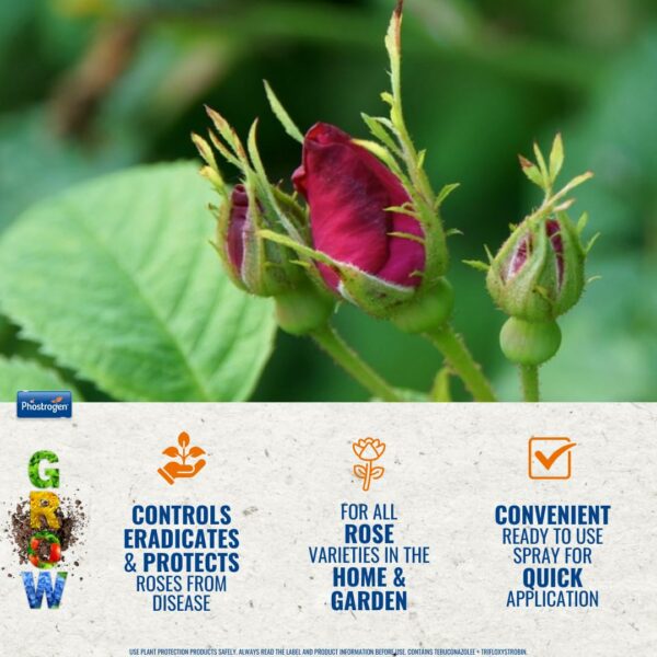 Toprose - Fungus Control and Protect ready to use - Protects Roses from Disease for Stronger, Healthier Blooms - Plant Protection, Rose Care, Ready to Use, Black Spot Control - 1L