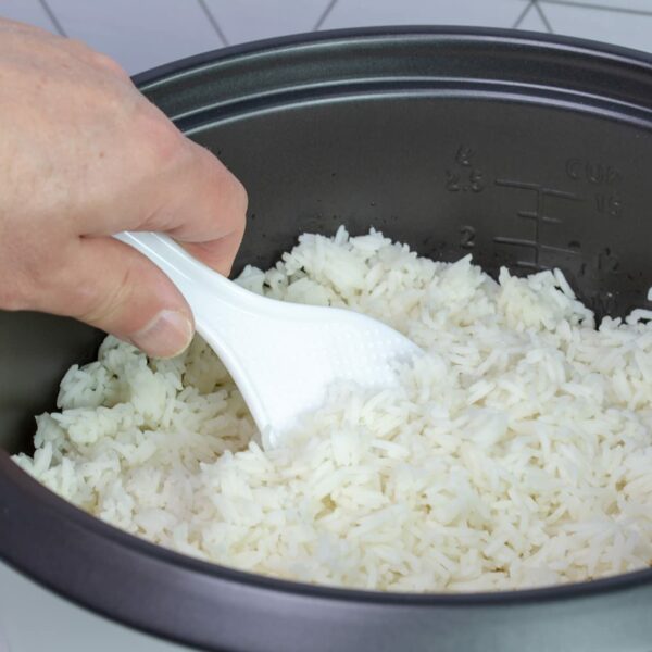 Quest 35530 0.8L Rice Cooker/Up to 4 Servings/Non-Stick Removable Bowl/Keep Warm Functionality/Includes Measuring Cup & Spatula/Cook White or Brown Rice, Porridge and more