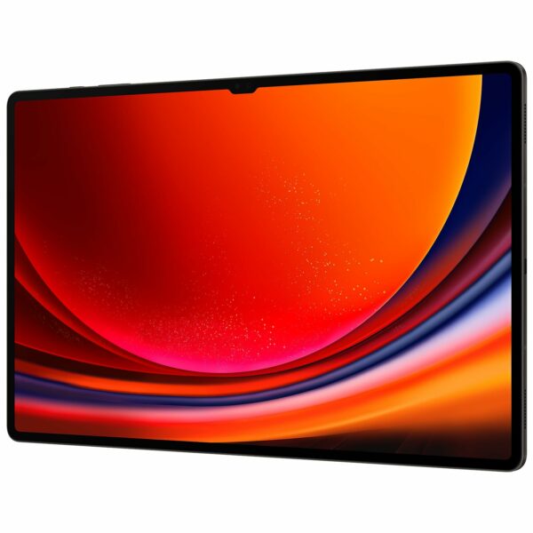 Samsung Galaxy Tab S9 Ultra SM-X910N 256 GB 37.1 cm (14.6'') Qualcomm Snapdragon 12 GB Wi-Fi 6 (802.11ax) Android 13, Gray