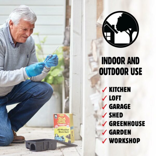 The Big Cheese All-Weather Block Bait - 10g x 30 Kills Mice and Rats Damp-Proof, Weather-Resistant, Blue Difenacoum