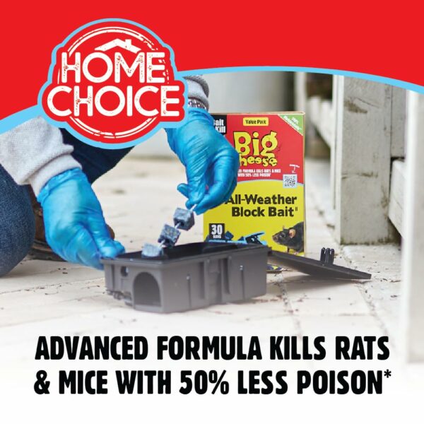 The Big Cheese All-Weather Block Bait - 10g x 30 Kills Mice and Rats Damp-Proof, Weather-Resistant, Blue Difenacoum