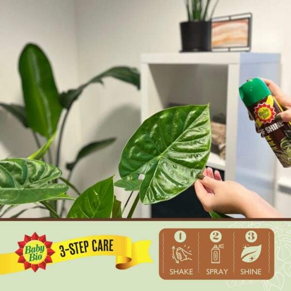 Baby Bio 84899143 Leaf Shine, 200ml - Ready To Use Houseplant Care - Aerosol Spray for a Natural Long Lasting and Healthy Shine - Removes Dust from Plant Leaves - Prevents Yellowing
