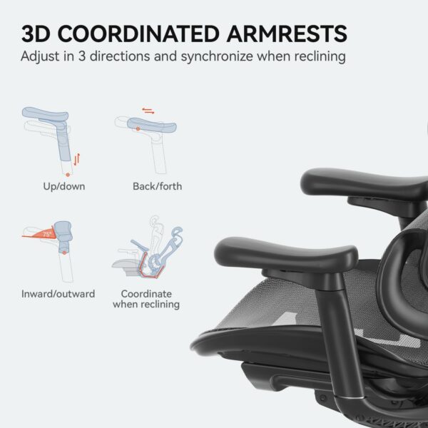 Sihoo Doro C300 Ergonomic Office Chair with Ultra Soft 3D Armrests, Dynamic Lumbar Support for Home Office, Adjustable Backrest Desk Chair (Black)
