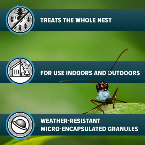 NOPE! Ant Killer Bait Powder 500g for Indoors and Outdoors | Targeted Ant Nest Killer for Mess-Free Elimination | Micro-Encapsulated Delayed-Action Blue Bait Targets Every Stage of Ant Lifecycle