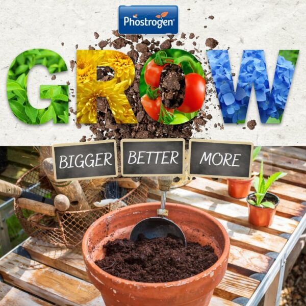 Toprose - Fungus Control and Protect ready to use - Protects Roses from Disease for Stronger, Healthier Blooms - Plant Protection, Rose Care, Ready to Use, Black Spot Control - 1L