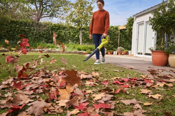 Ryobi OBL1820S One Cordless Blower, Air Speed (Zero Tool), 245 km/h, 18 V, Hyper Green and Grey