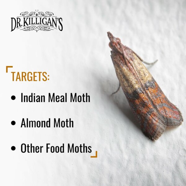 Dr. Killigan's Premium Pantry Moth Traps with Pheromones Prime | Safe, Non-Toxic with No Insecticides | Sticky Glue Trap for Food and Cupboard Moths in Your Kitchen | Organic (6, Blue)