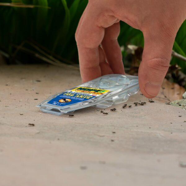 NOPE! Ant Killer Bait Station (6 x 5g) Indoor & Outdoor. Eradicates Ants and their Colony & Nest