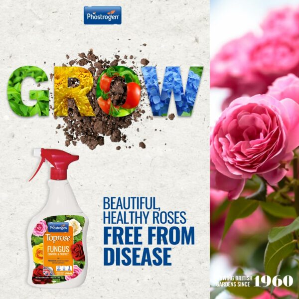 Toprose - Fungus Control and Protect ready to use - Protects Roses from Disease for Stronger, Healthier Blooms - Plant Protection, Rose Care, Ready to Use, Black Spot Control - 1L