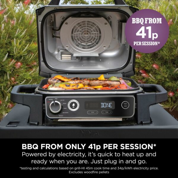 Ninja Woodfire Electric BBQ Grill Smoker, 7-in-1 Outdoor Grill Air Fryer, Roast, Bake, Dehydrate, Uses Woodfire Pellets, Weather Resistant