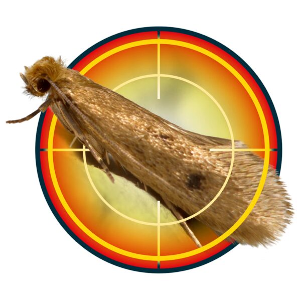 NOPE! CP Moth Killer Spray (500ml) - Fast acting, Odourless, Long-lasting Moth Repellent for Home, Wardrobe & Carpets.