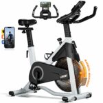 LABGREY Exercise Bike Indoor Cycling Bike Stationary Cycle Bike with Heart Rate Sensor & Comfortable Seat Cushion, Quiet Fitness Bike for Home Cardio Workout (Grey - Magnetic Bike)