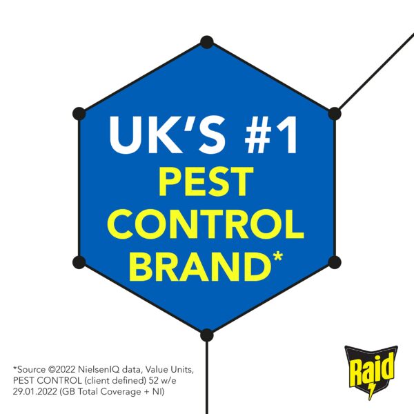 Raid Ant and Cockroach Killer Powder, Insect Killer For Indoor And Outdoor Use, Stops Reinfestation, 250g