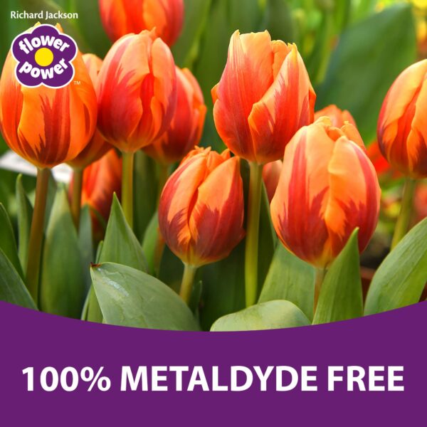 Flower Power Richard Jackson Organic Slug & Snail Control, Natural Metaldehyde-Free Pellets, Rain Resistant, An Effective Way to Protect Your Plants & Vegetables (1.2kg)
