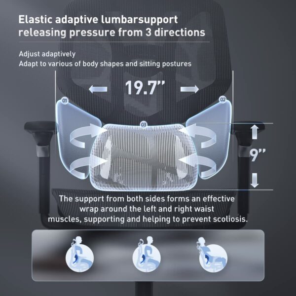 Hbada E3 Ergonomic Office Chair Elastic Adaptative Adjustment Back Lumbar Support Computer Chair