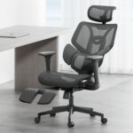 Hbada E3 Ergonomic Office Chair Elastic Adaptative Adjustment Back Lumbar Support Computer Chair