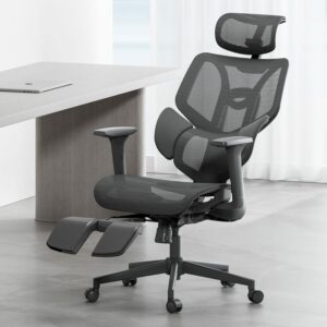 Hbada E3 Ergonomic Office Chair