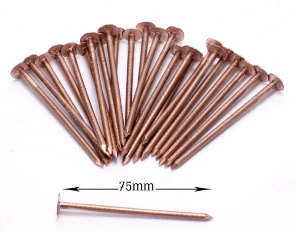 Copper Tree Stump Killer - 30xV.Large 75mm Copper Nails