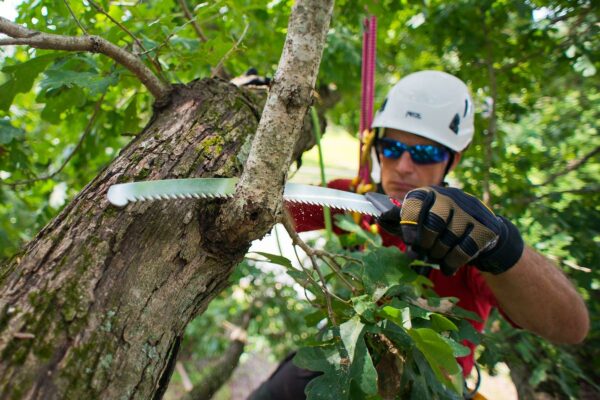 Silky Zubat Professional 270-33 330mm Curved-Blade Hand Saw with Scabbard