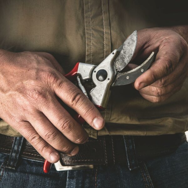FELCO 2 Pruning Shears – 25 mm Cutting Diameter, for Large Hands, 215 mm Length, with Sap Groove, Ergonomic Handles, Red