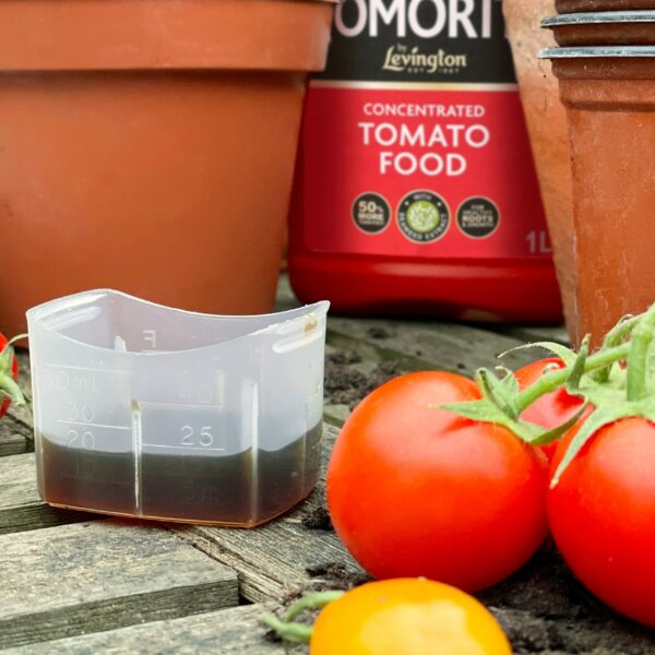 Levington Tomorite Liquid Tomato Food, Concentrate, 1L, Red