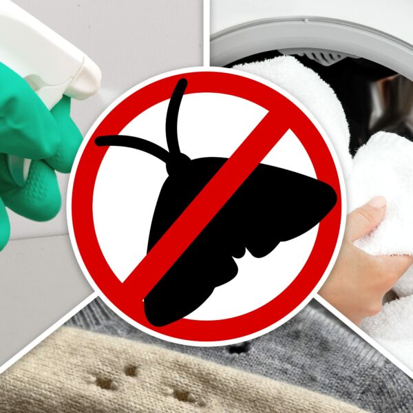 NOPE! CP Moth Killer Spray (500ml) - Fast acting, Odourless, Long-lasting Moth Repellent for Home, Wardrobe & Carpets.