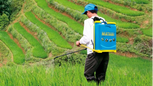 Matabi - Manual Backpack Sprayer - 12L - Fibreglass Lance - 3 Positions Pressure Regulator - Padded Straps - Garden, Orchard and Agriculture - Super Green 12 - Made in Europe