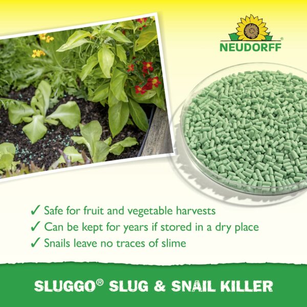 Neudorff Sluggo Slug & Snail Killer – Effective slug control against slugs and snails. No slime traces and no visible dead slugs. For 200 m², 1 kg, Green