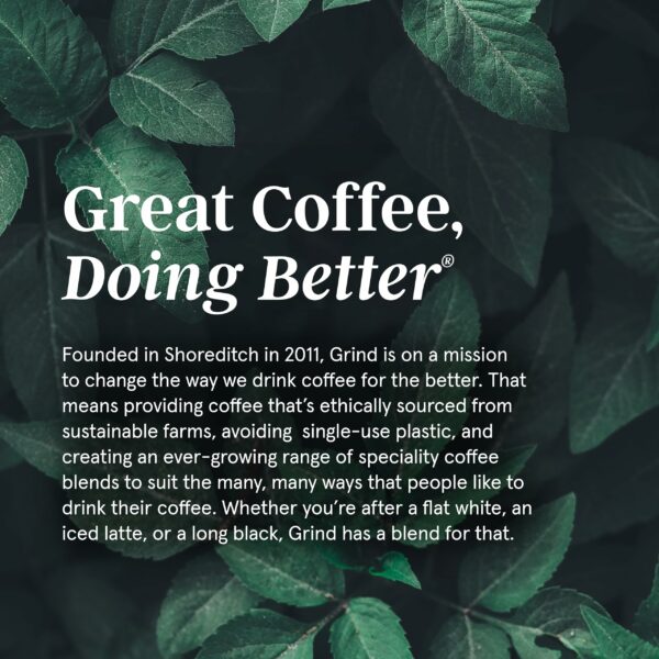 Grind House Blend Arabica Coffee Pods – Pack of 100 – Nespresso® Original Compatible Capsules – Home-Compostable – Barista Quality – Medium Roast