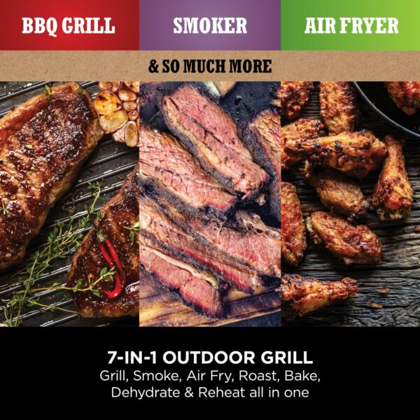 Ninja Woodfire Electric BBQ Grill Smoker, 7-in-1 Outdoor Grill Air Fryer, Roast, Bake, Dehydrate, Uses Woodfire Pellets, Weather Resistant