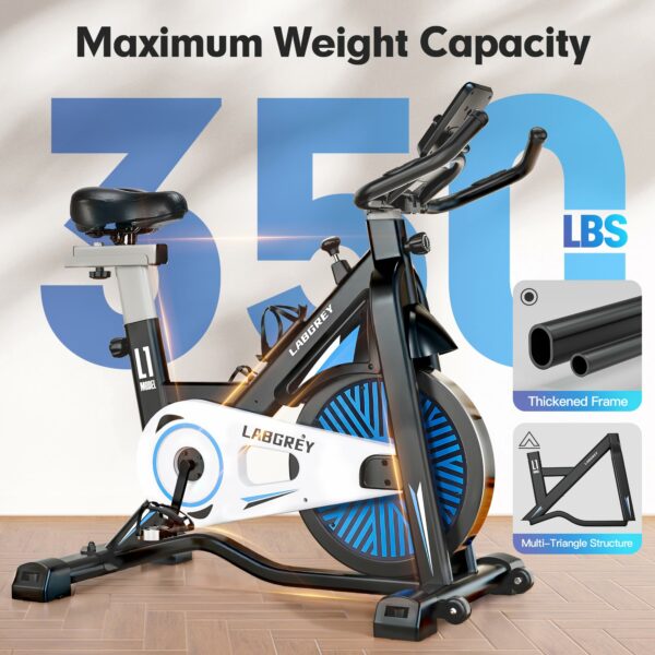 LABGREY Exercise Bike Indoor Cycling Bike Stationary Cycle Bike with Heart Rate Sensor & Comfortable Seat Cushion, Quiet Fitness Bike for Home Cardio Workout (Black - Magnetic Bike)