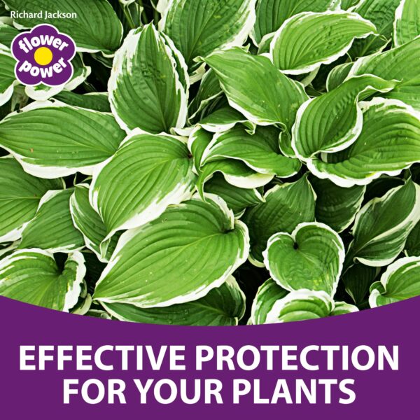 Flower Power Richard Jackson Organic Slug & Snail Control, Natural Metaldehyde-Free Pellets, Rain Resistant, An Effective Way to Protect Your Plants & Vegetables (1.2kg)