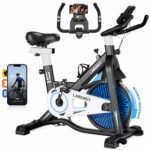 LABGREY Exercise Bike Indoor Cycling Bike Stationary Cycle Bike with Heart Rate Sensor & Comfortable Seat Cushion, Quiet Fitness Bike for Home Cardio Workout (Black - Magnetic Bike)