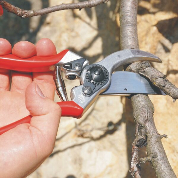 FELCO 2 Pruning Shears – 25 mm Cutting Diameter, for Large Hands, 215 mm Length, with Sap Groove, Ergonomic Handles, Red