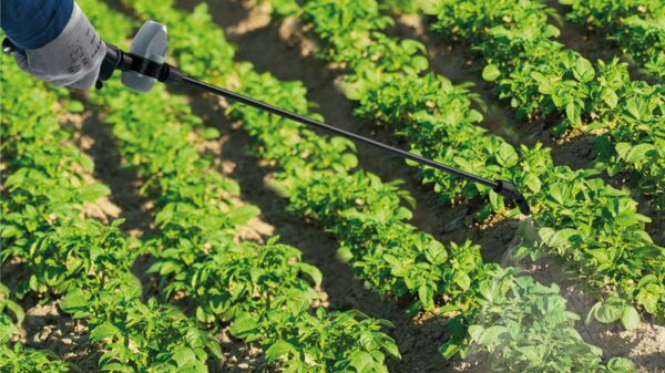 Matabi - Manual Backpack Sprayer - 12L - Fibreglass Lance - 3 Positions Pressure Regulator - Padded Straps - Garden, Orchard and Agriculture - Super Green 12 - Made in Europe
