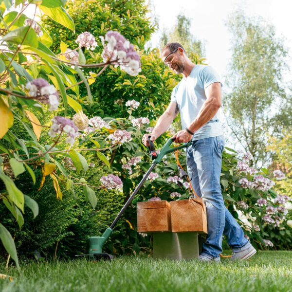 Bosch Electric Grass Trimmer EasyGrassCut 26 (280 Watt, Cutting Diameter 26 cm, Weight: 2 kg, in Carton Packaging)