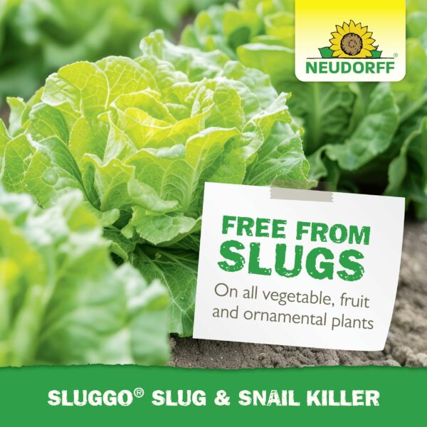 Neudorff Sluggo Slug & Snail Killer – Effective slug control against slugs and snails. No slime traces and no visible dead slugs. For 200 m², 1 kg, Green