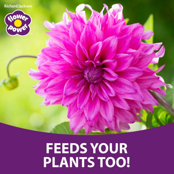Flower Power Richard Jackson Organic Slug & Snail Control, Natural Metaldehyde-Free Pellets, Rain Resistant, An Effective Way to Protect Your Plants & Vegetables (1.2kg)