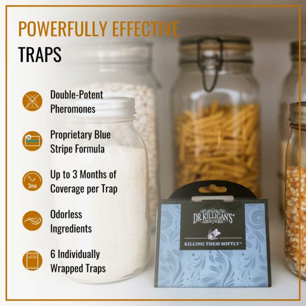 Dr. Killigan's Premium Pantry Moth Traps with Pheromones Prime | Safe, Non-Toxic with No Insecticides | Sticky Glue Trap for Food and Cupboard Moths in Your Kitchen | Organic (6, Blue)