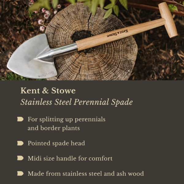 Kent & Stowe Stainless Steel Perennial Spade, Pointed Head Garden Spade for Easy Slicing Through Roots, All Year Round Garden Tools Made from Stainless Steel and Ash Wood