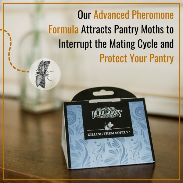 Dr. Killigan's Premium Pantry Moth Traps with Pheromones Prime | Safe, Non-Toxic with No Insecticides | Sticky Glue Trap for Food and Cupboard Moths in Your Kitchen | Organic (6, Blue)