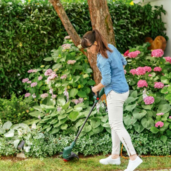 Bosch Electric Grass Trimmer EasyGrassCut 26 (280 Watt, Cutting Diameter 26 cm, Weight: 2 kg, in Carton Packaging)