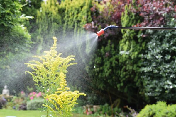 Spear & Jackson 5LPAPS 5 Litre Pump Action Pressure Sprayer