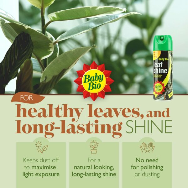 Baby Bio 84899143 Leaf Shine, 200ml - Ready To Use Houseplant Care - Aerosol Spray for a Natural Long Lasting and Healthy Shine - Removes Dust from Plant Leaves - Prevents Yellowing