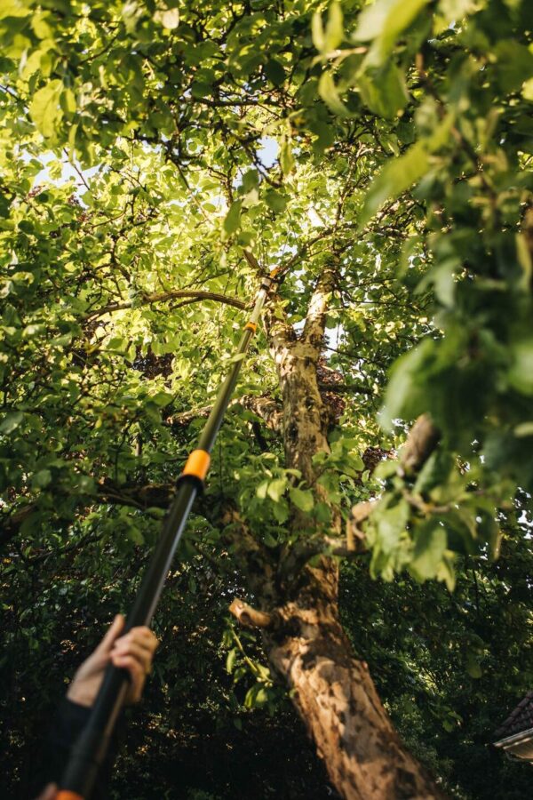 Fiskars PowerGear X Telescopic Tree Pruner UPX86, Non-stick Coated, Steel Blade/Aluminium Handle, Length 2.4 - 4 m, Black/Orange, 1023624
