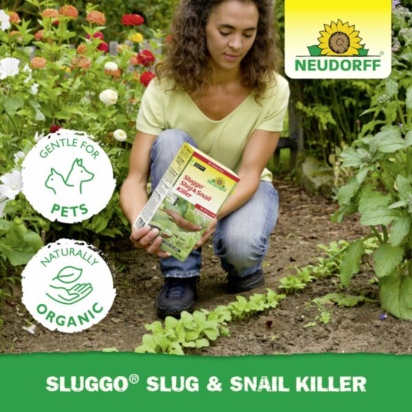 Neudorff Sluggo Slug & Snail Killer – Effective slug control against slugs and snails. No slime traces and no visible dead slugs. For 200 m², 1 kg, Green